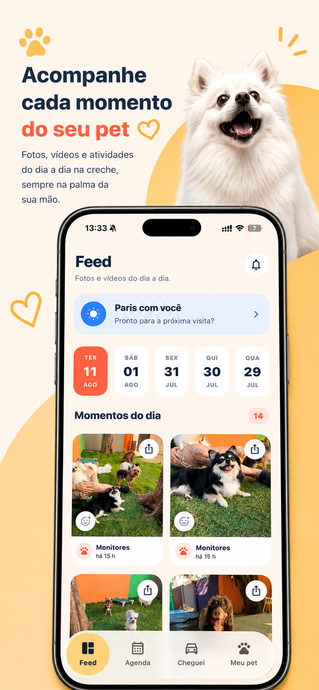 Feed de fotos e vídeos do aplicativo